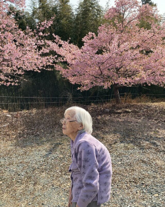 今日も行ってきましたぁ☺️
桜と私🌸どっちが綺麗❣️
先週より桜が散ってたけど、、、  もちろん！桜も私も綺麗です❤️  #桜#浜松市#天竜区#船明#医療法人社団光久会#グループホーム#GH#高齢者施設#施設の日常風景#自立支援#認知症ケア#高齢者ケア#パーソンセタードケア#スタッフ募集中#介護職#介護福祉士写真の掲載については承諾を得ています。N