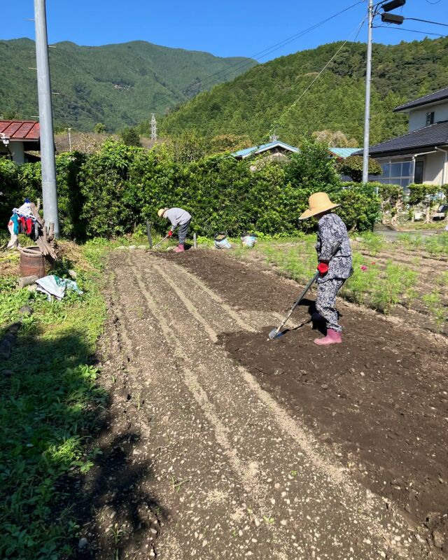 #畑の土を均してから、白菜のちっちゃい苗を植えました。大きくなってほしいな🙏
#畑仕事をしたよ
#浜松市
#天竜区  #春野
#医療法人社団光久会　　
#介護老人保険施設
#老健
#日常風景
#自立支援
#認知症ケア
#高齢者ケア
#パーソンセンタードケア
#スタッフ募集中
 写真の掲載については承諾を得ています。H I